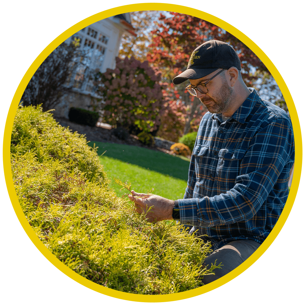 Northern Tree Services - Plant Health Care