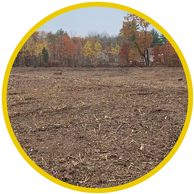 Northern Tree Services - Land and Lot Clearing